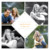 Faire-part de mariage 4 photos losange beige - Page 1 Faire-part de mariage 4 photos losange beige - Page 1