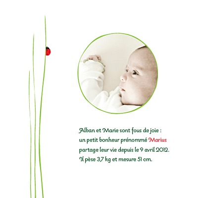 Faire-part de naissance Coccinelle photo rouge finition Faire-part de naissance Coccinelle photo rouge finition