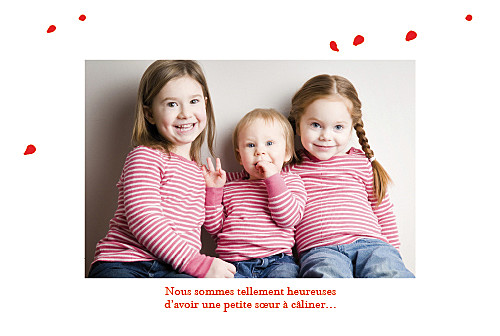 Faire-part de naissance Coquelicot 4 photos rouge - Page 3 Faire-part de naissance Coquelicot 4 photos rouge - Page 3
