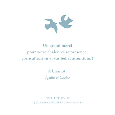 Carte de remerciement Merci oiseaux photo bleu finition Carte de remerciement Merci oiseaux photo bleu finition
