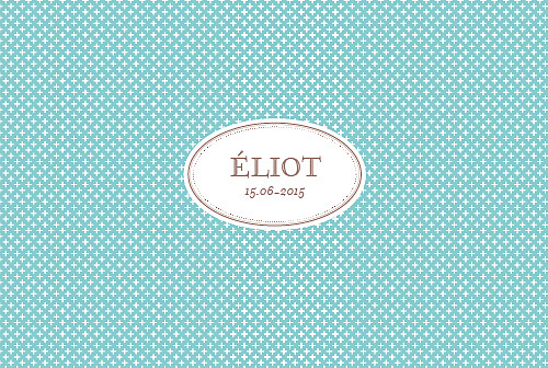 Faire-part de naissance Motif chic écusson paysage turquoise - Page 1 Faire-part de naissance Motif chic écusson paysage turquoise - Page 1