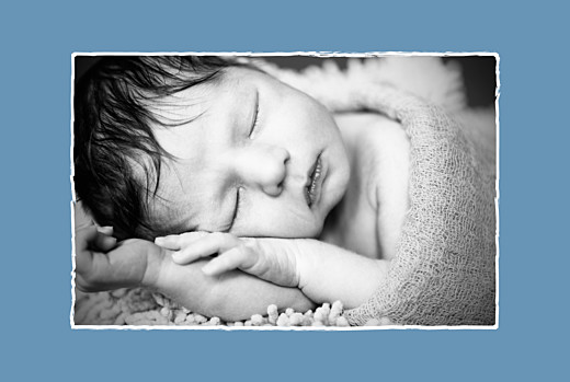 Faire-part de naissance Cheval paysage photo 4 pages bleu prusse Faire-part de naissance Cheval paysage photo 4 pages bleu prusse