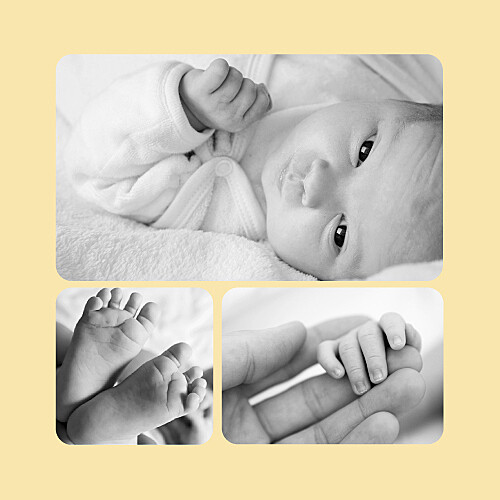 Faire-part de naissance Chaton 3 photos jaune - Page 2 Faire-part de naissance Chaton 3 photos jaune - Page 2