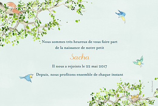 Faire-part de naissance Nous irons au bois photo bleu ciel - Page 3 Faire-part de naissance Nous irons au bois photo bleu ciel - Page 3