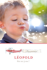 Carte d'anniversaire Avion rouge