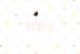 Faire-part de naissance Lovely girl photo blanc - Page 1 Faire-part de naissance Lovely girl photo blanc - Page 1