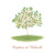 Carte de remerciement Petit arbre vert - Page 1 Carte de remerciement Petit arbre vert - Page 1