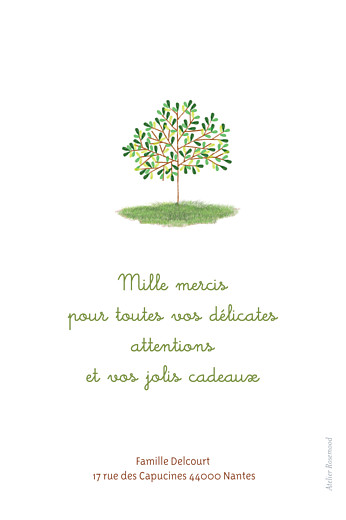 Carte de remerciement Petit arbre photo vert - Verso