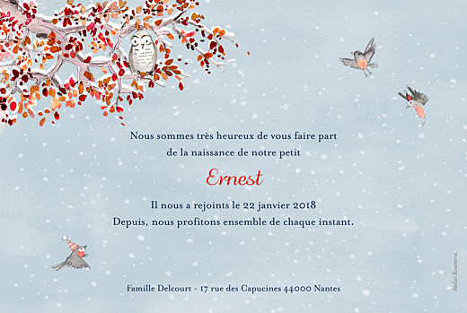 Faire-part de naissance Conte d'hiver bleu - Verso Faire-part de naissance Conte d'hiver bleu - Verso