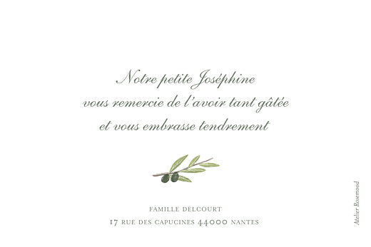 Carte de remerciement Petit olivier blanc - Verso