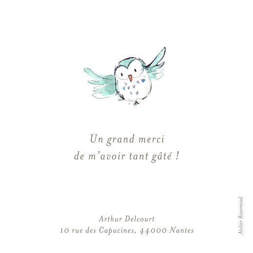 Carte de remerciement Petit hibou aquarelle blanc - Recto Carte de remerciement Petit hibou aquarelle blanc - Recto