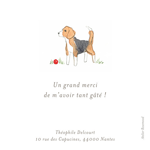 Carte de remerciement Petit chien aquarelle blanc - Recto