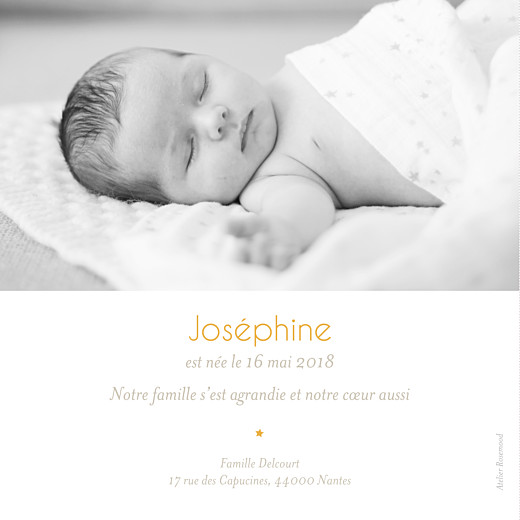 Faire-part de naissance Le lac des cygnes rv jaune - Page 2 Faire-part de naissance Le lac des cygnes rv jaune - Page 2