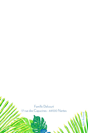 Carte de correspondance Tropic vert - Verso Carte de correspondance Tropic vert - Verso