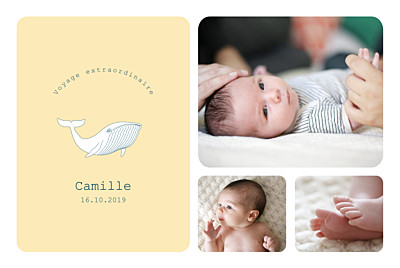 Faire-part de naissance Baleine extraordinaire rv jaune finition Faire-part de naissance Baleine extraordinaire rv jaune finition