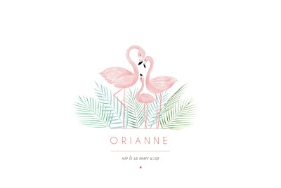 Faire-part de naissance Flamant rose paysage rv blanc finition Faire-part de naissance Flamant rose paysage rv blanc finition