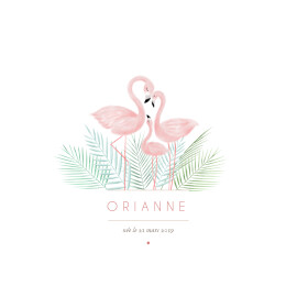 Faire-part de naissance Flamant rose blanc