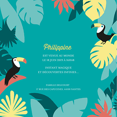 Faire-part de naissance Toucans d'amazonie photo bleu finition Faire-part de naissance Toucans d'amazonie photo bleu finition