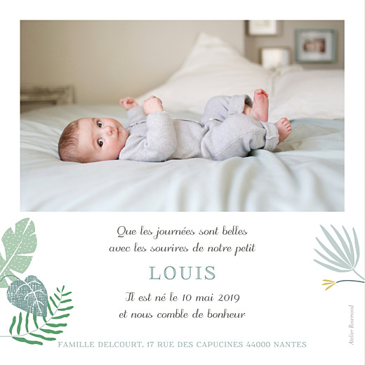 Faire-part de naissance Jardin tropical photo vert - Verso Faire-part de naissance Jardin tropical photo vert - Verso