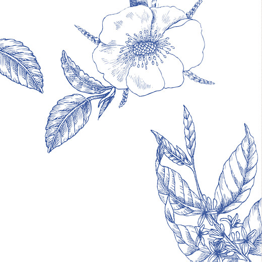 Faire-part de mariage Gravure chic (4 pages) bleu - Page 2 Faire-part de mariage Gravure chic (4 pages) bleu - Page 2