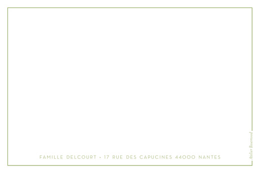 Carte de correspondance Cactus Vert - Verso Carte de correspondance Cactus Vert - Verso