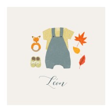 Faire-part de naissance Petits habits bleu gris