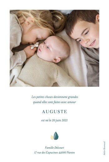 Faire-part de naissance Cache-cache petit ours portrait vert & jaune - Verso Faire-part de naissance Cache-cache petit ours portrait vert & jaune - Verso