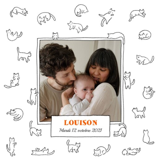 Faire-part de naissance Chaton blanc Faire-part de naissance Chaton blanc