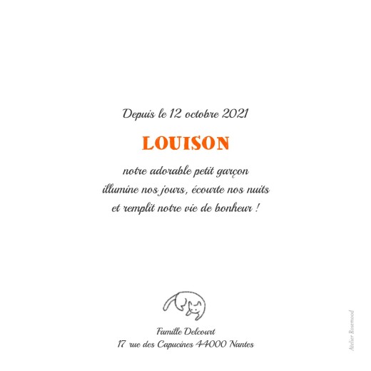 Faire-part de naissance Chaton blanc - Page 2 Faire-part de naissance Chaton blanc - Page 2