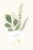 Faire-part de naissance Fleurs aquarelle portrait bleu - Page 1 Faire-part de naissance Fleurs aquarelle portrait bleu - Page 1
