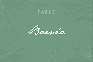 Marque-table mariage moderne fleurs des îles vert Marque-table mariage moderne fleurs des îles vert
