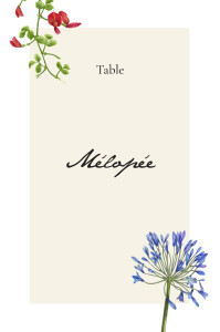 Marque-table mariage Mélopée blanc Marque-table mariage Mélopée blanc