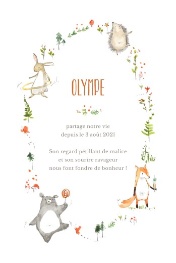 Faire-part de naissance La ronde des animaux blanc Faire-part de naissance La ronde des animaux blanc