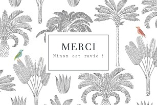 Carte de remerciement oiseaux de paradis blanc Carte de remerciement oiseaux de paradis blanc