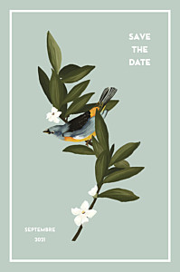 Save the date bahia bleu Save the date bahia bleu