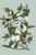 Faire-part de mariage Bahia (portrait) bleu - Page 1 Faire-part de mariage Bahia (portrait) bleu - Page 1