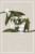 Faire-part de mariage Bahia (portrait) bleu - Page 2 Faire-part de mariage Bahia (portrait) bleu - Page 2