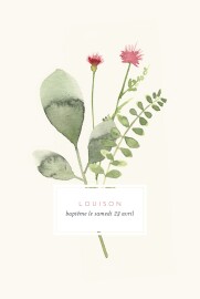 Faire-part de baptême Fleurs aquarelle crème