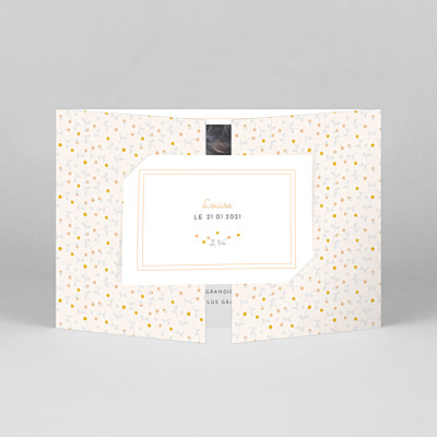 Faire-part de naissance orange liberty baies (fenêtre paysage) orange Faire-part de naissance orange liberty baies (fenêtre paysage) orange