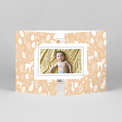 Faire-part de naissance orange fable (fenêtre paysage) orange Faire-part de naissance orange fable (fenêtre paysage) orange