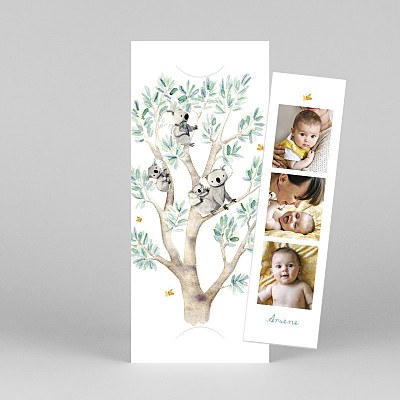 Faire-part de naissance animaux 4 koalas en famille (marque-page) Faire-part de naissance animaux 4 koalas en famille (marque-page)