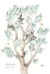 Faire-part de naissance animaux 5 koalas en famille blanc Faire-part de naissance animaux 5 koalas en famille blanc