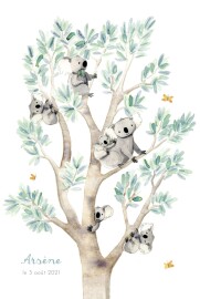 Faire-part de naissance 6 koalas en famille blanc