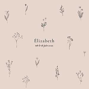 Faire-part de naissance fleur herbier rose Faire-part de naissance fleur herbier rose