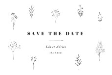 Save the Date Herbier blanc Save the Date Herbier blanc