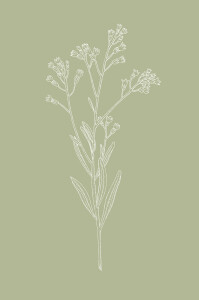 Carton d'invitation mariage Botanique (portrait) vert Carton d'invitation mariage Botanique (portrait) vert