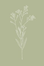 Carton d'invitation mariage Botanique (portrait) vert Carton d'invitation mariage Botanique (portrait) vert