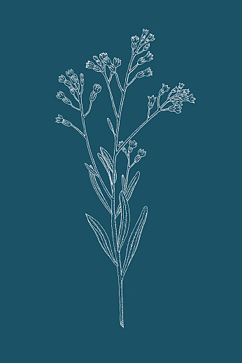Carton d'invitation mariage Botanique (portrait) bleu - Recto