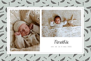Faire-part de naissance vert croissant vert Faire-part de naissance vert croissant vert