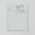 Faire-part de mariage Songe champêtre (calque) gypsophile - Vue 2 Faire-part de mariage Songe champêtre (calque) gypsophile - Vue 2